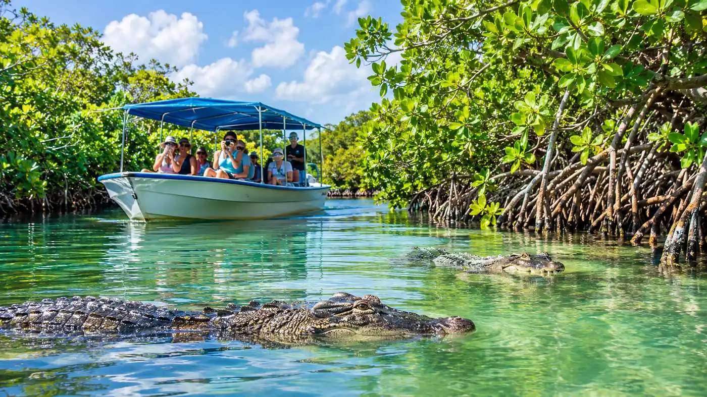 Cancun Jungle Tour Wildlife: Crocodiles and Mangroves