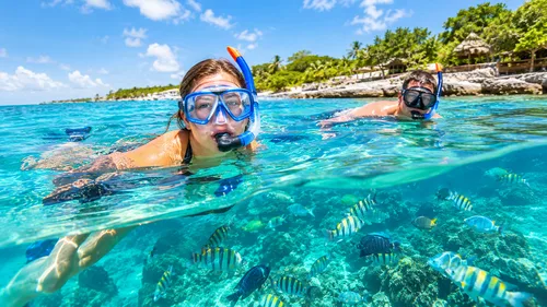 Reef Snorkeling